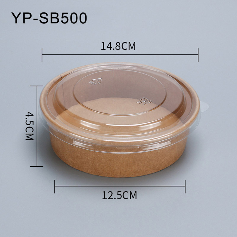 YP-SB500