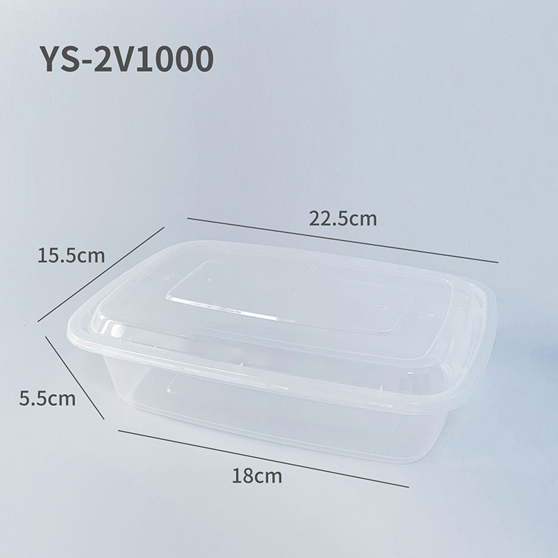 YS-2V1000