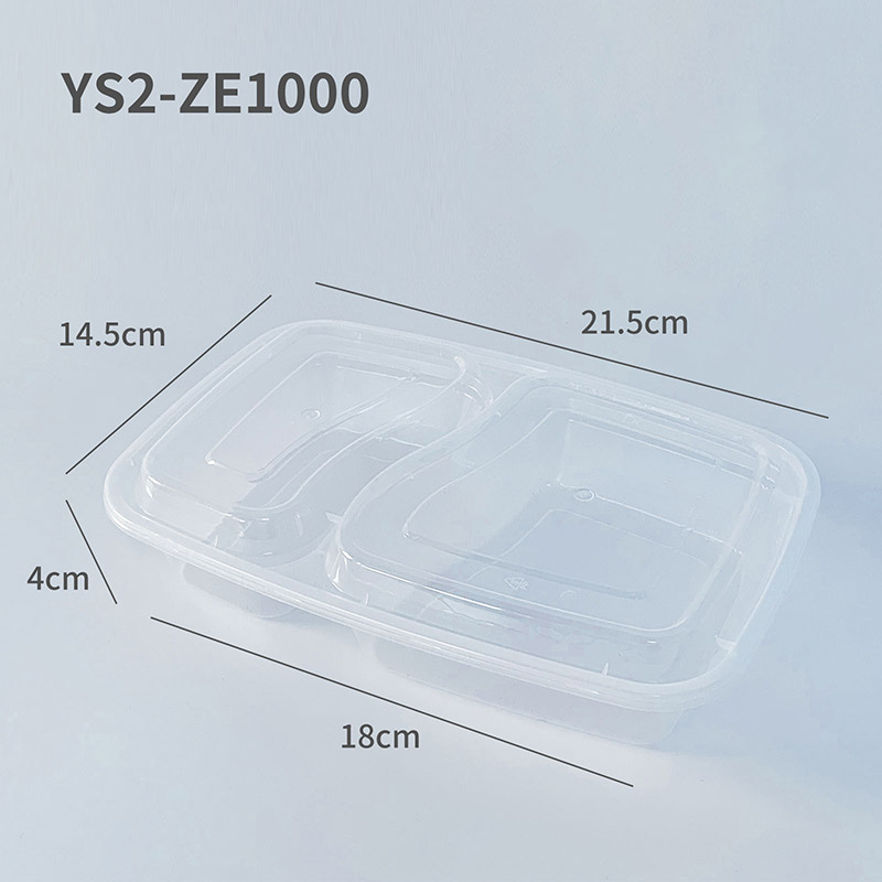 YS2-ZE1000